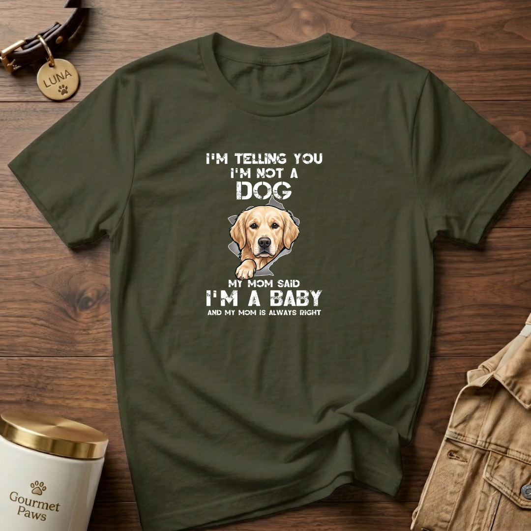 Just a Baby Labrador