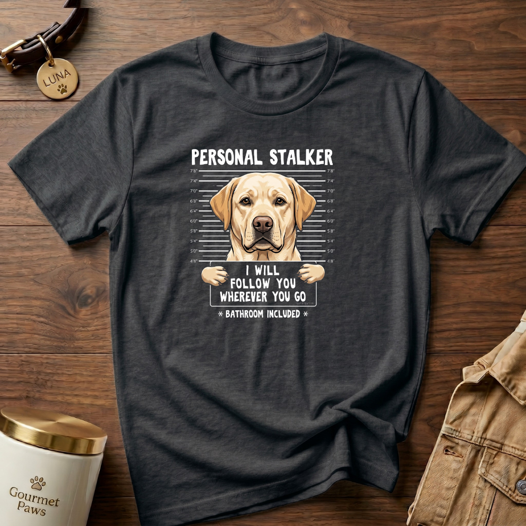 Personal Stalker Labrador