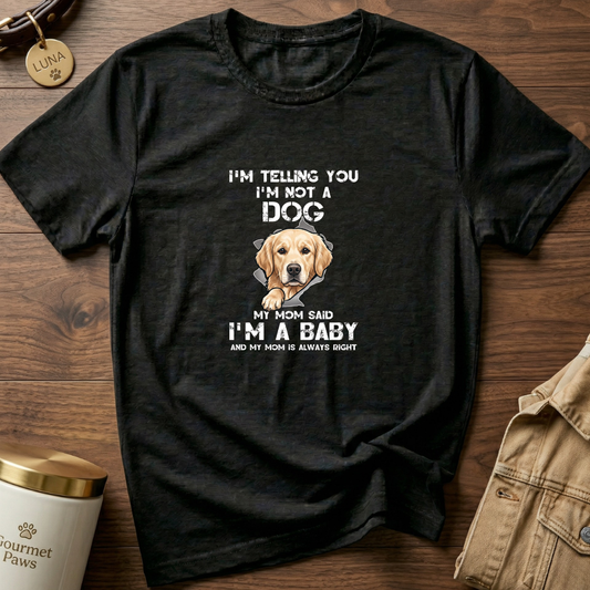 Just a Baby Labrador