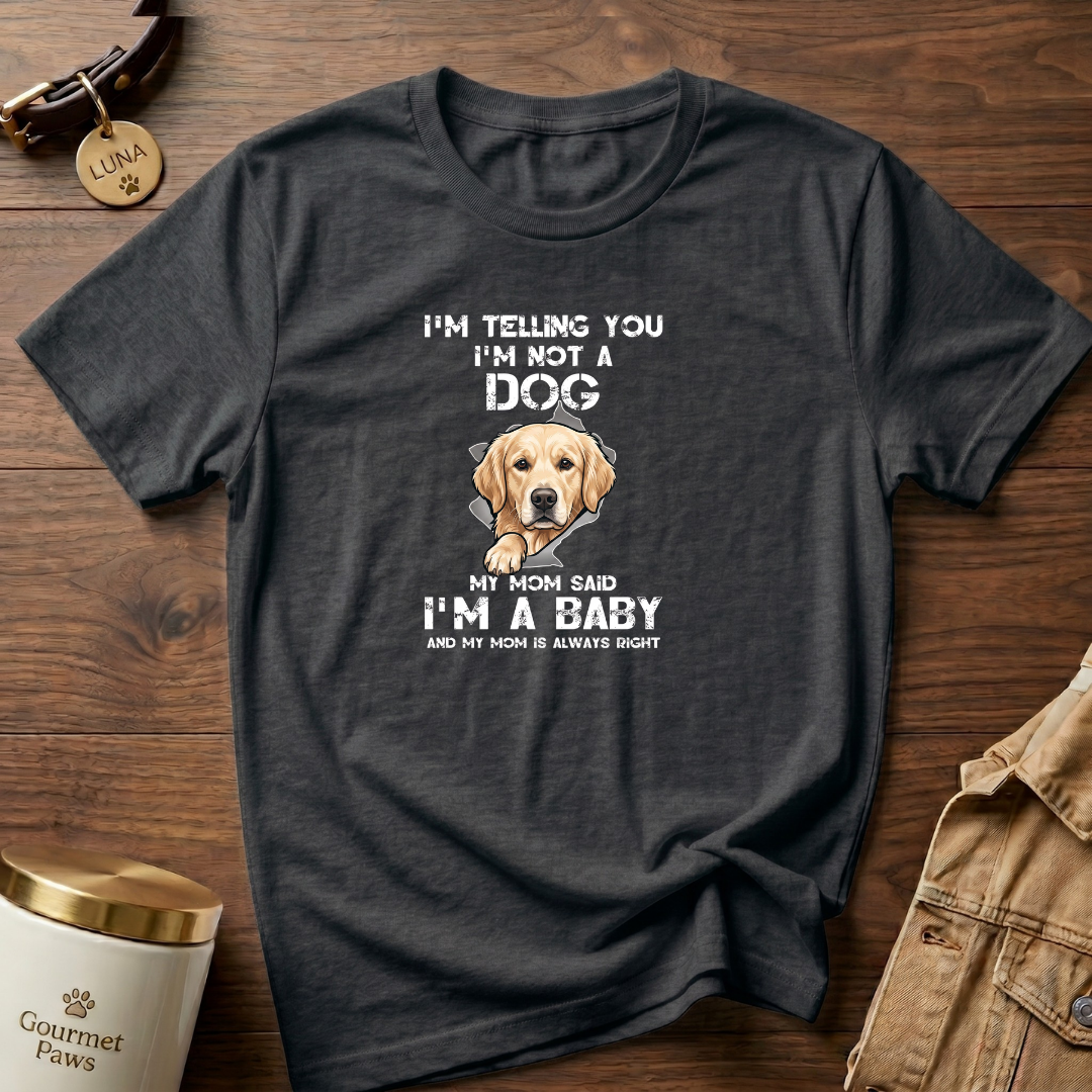 Just a Baby Labrador