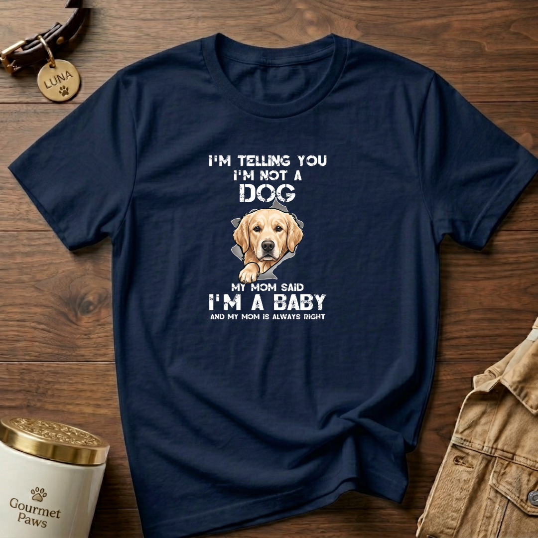 Just a Baby Labrador