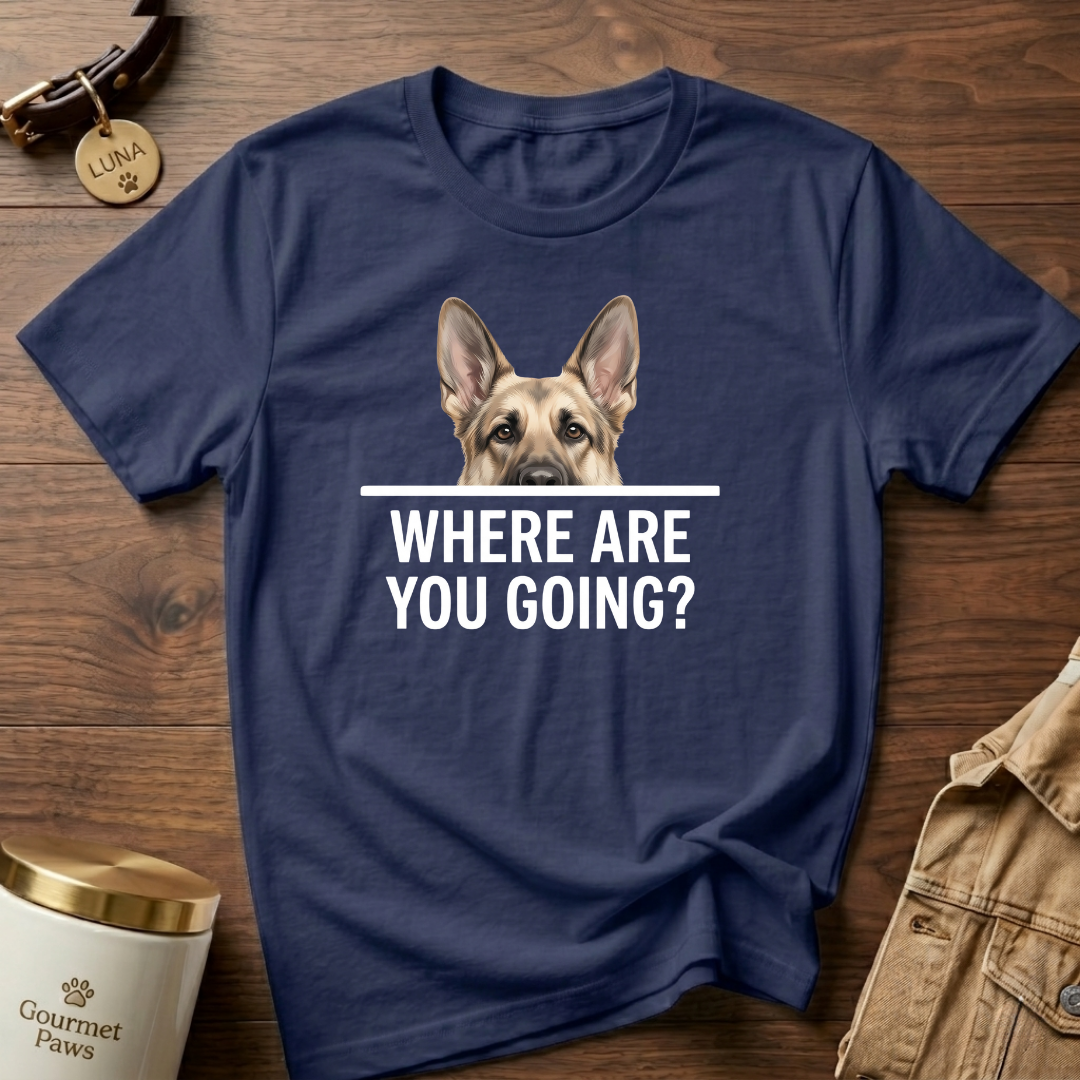WHERE ARE YOU GOING