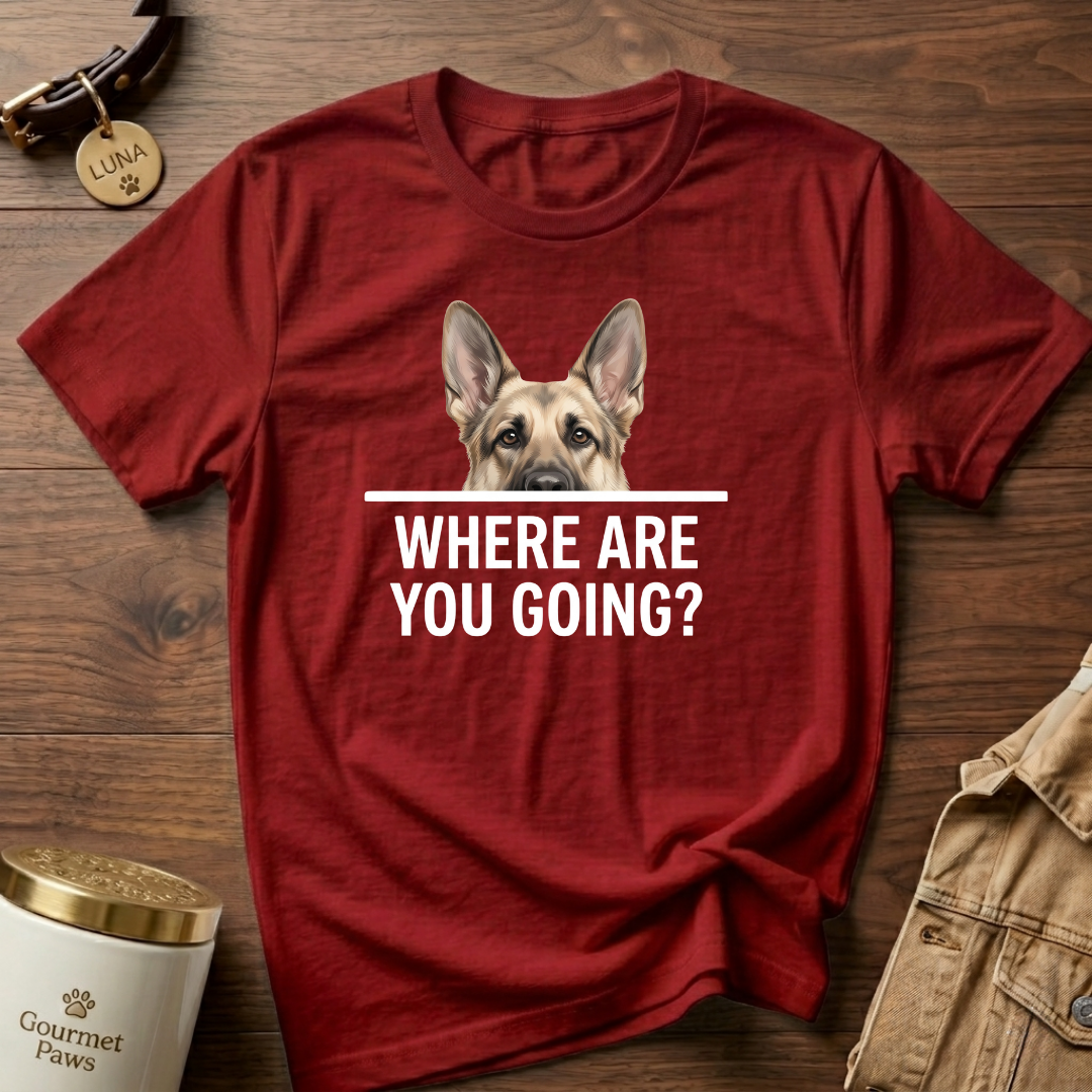 WHERE ARE YOU GOING